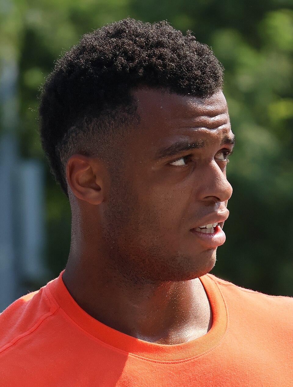 Mpetshi Perricard Éliminé: Irrelevant Sources Explored